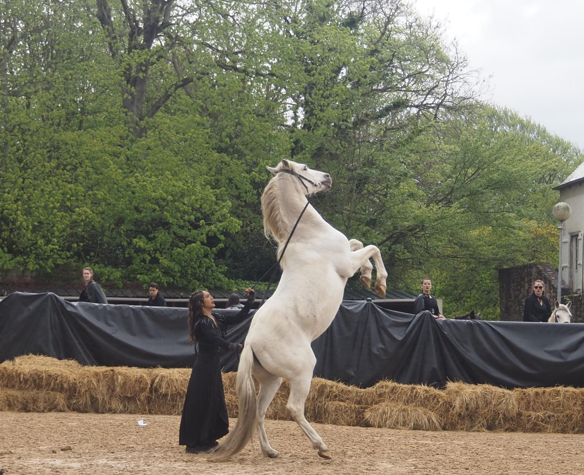 Aurore et Djamel